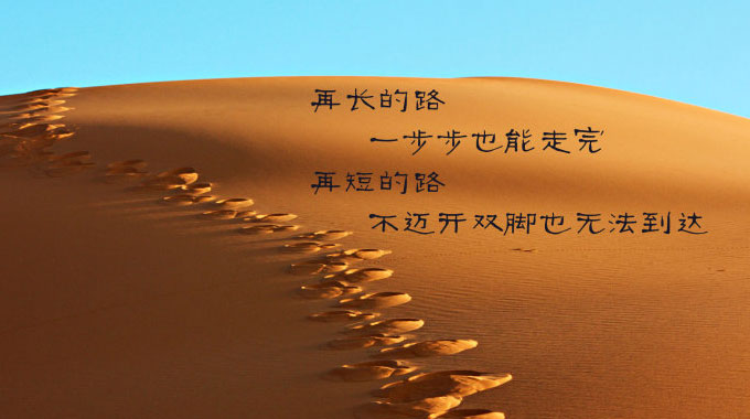 郑州网站建设公司
