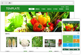 蔬菜水果网站模板