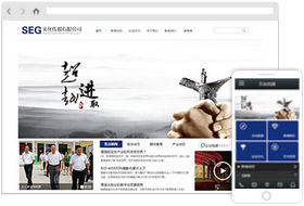 SEG文化传媒网站样板案例