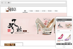 女士鞋网站样板案例
