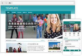 学校网站样板案例