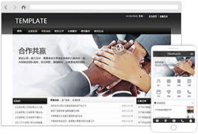 机构组织网站样板案例