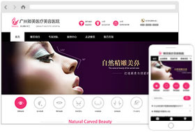 医疗美容医院网站样板案例